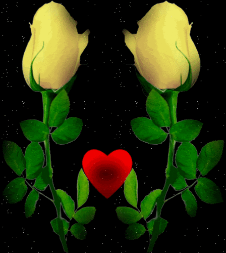 roses in love