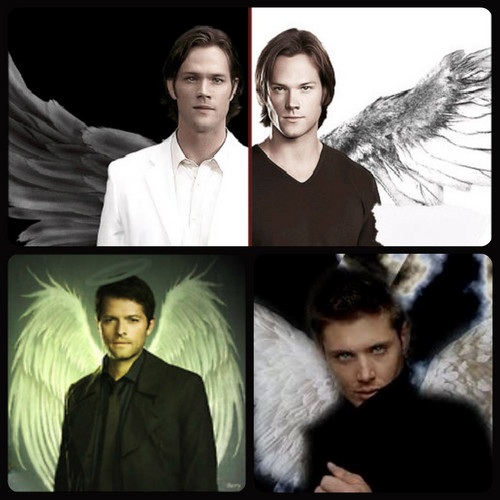  ✰ Cas, Sam & Dean ✰