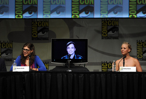  2012 Comic-Con - Panel