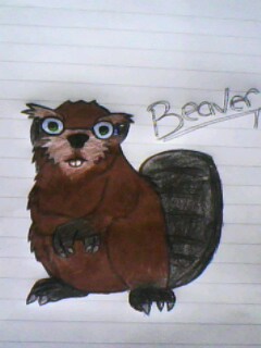  Beaver!