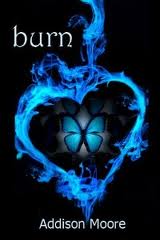  Burn (Book 3)