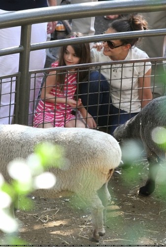  Central Park Zoo [July 11]