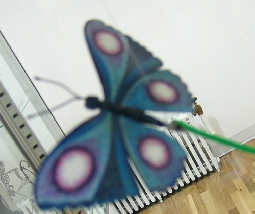 Butterfly ^-^