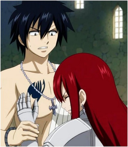 Gray and Erza love team
