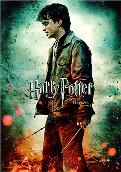  Harry Potter and the Deathly Hallows Part 2