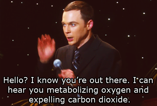  It's Sheldon :D