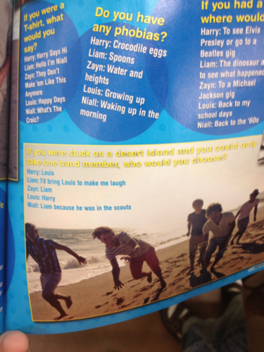  Louis and Harry choose each other to be stranded on an island with