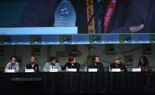  Panel at Comic-Con International 2012 - July 15th 2012