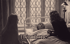 Romione hospital wing