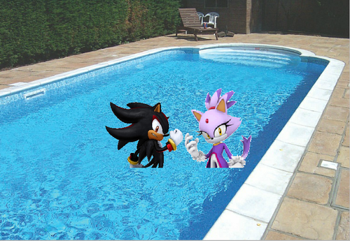 Shadow and Blaze go swimming
