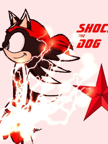  Shock the Dog (with electricity)