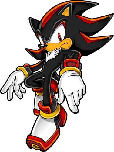  Sonic Channel Shadow