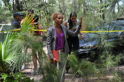  The Glades 3x06 {Old Times}