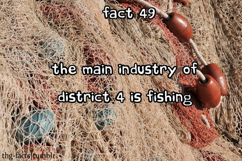  The Hunger Games facts 41-60