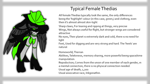  Thedias female ref.