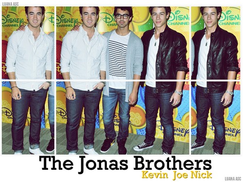  uithangbord JoBros Forever