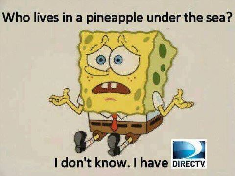  Who lives in a pinapple under the sea