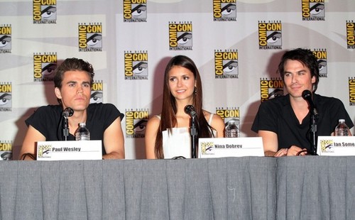  at the Comic-Con Panel