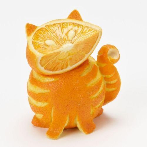  橙子, 橙色 cat