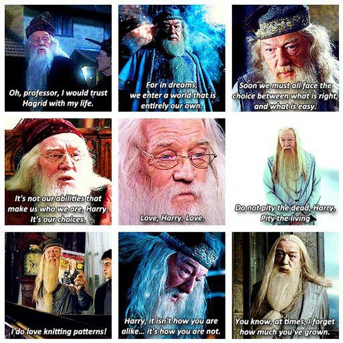 Albus Dumbledore's quotes