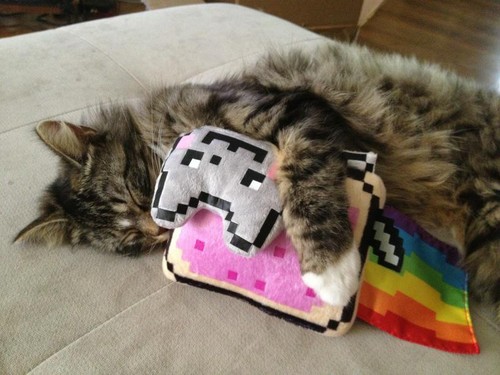  Cat Hugs Nyan Cat