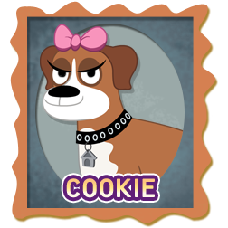  Cookie