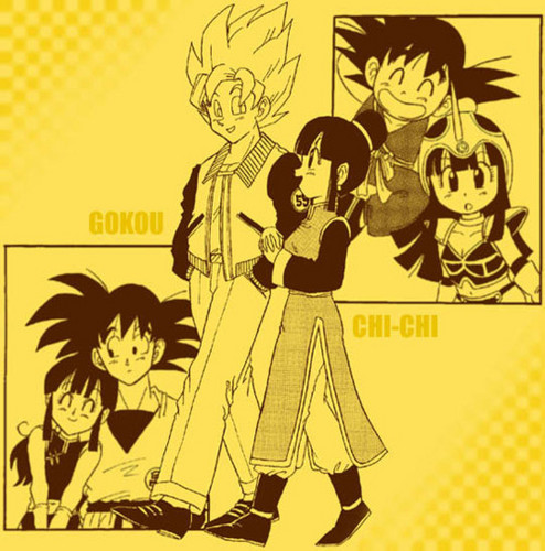  Goku x Chichi