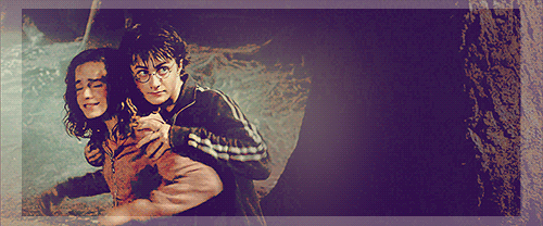  Harry and Hemione hugs