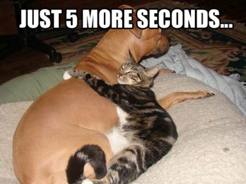  Just 5 más segundos :P