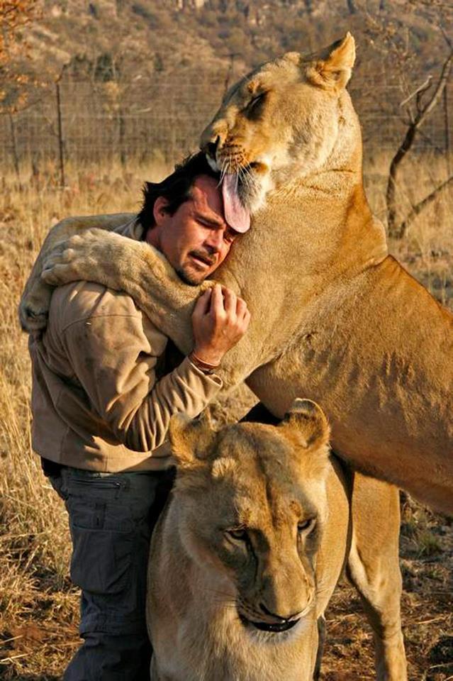 Kevin Richardson lord of beasts 