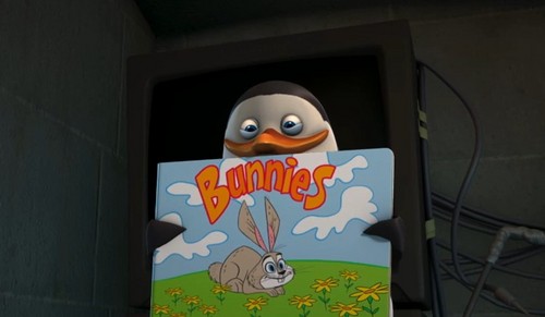 Private and his Bunny Book! 