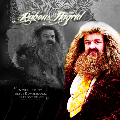  Rubeus Hagrid