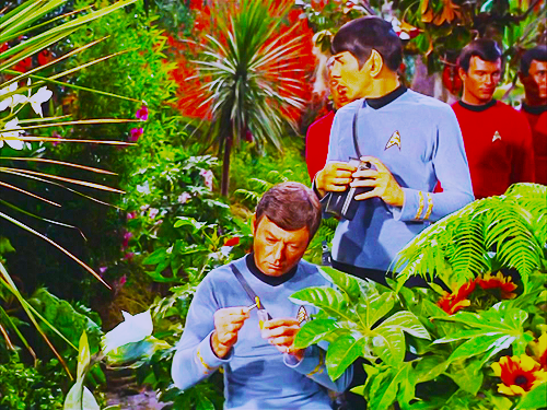  Spock and Bones