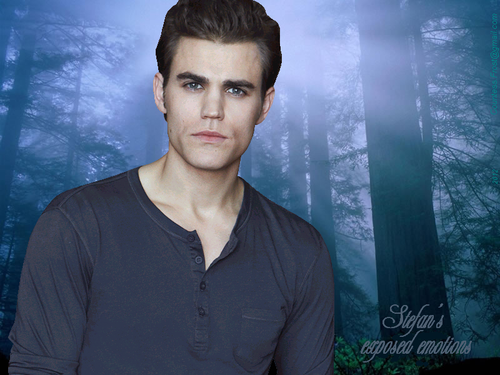  Stefan's exposed emotions
