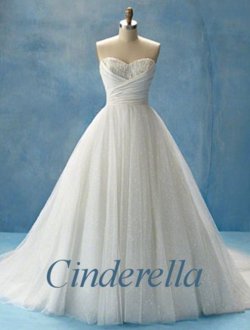  सिंडरेला wedding dress