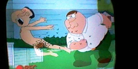  peter and quagmire (from the episode: the man with 2 brians)