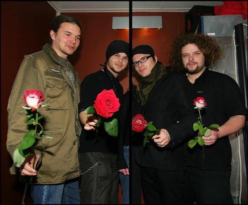  red roses from The Rasmus !