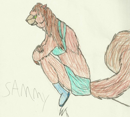  sammy (color)