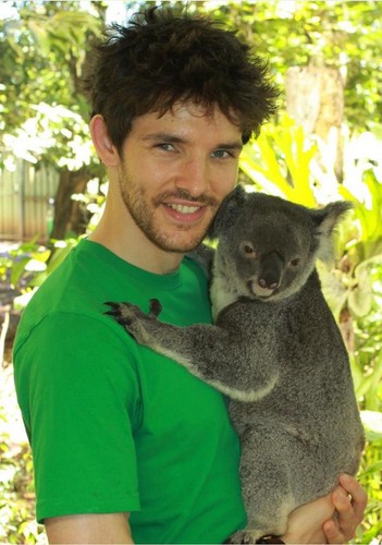  Colin with a koala <333 cutest pic ever!