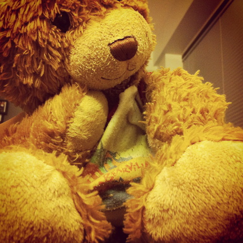  Cute teddy menanggung, bear