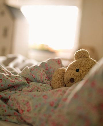  Cute teddy 곰