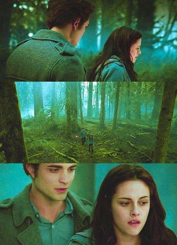  Edward&Bella