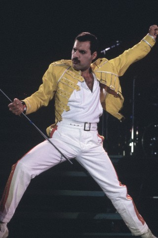  Freddie ♥