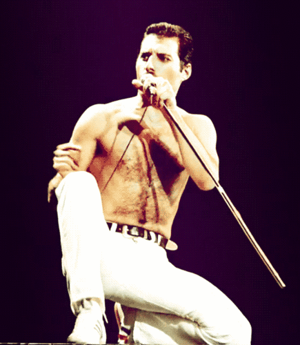  Freddie ♥