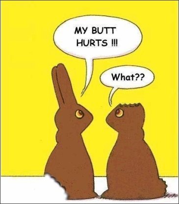  Funny Schokolade bunny