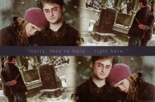 哈利与赫敏