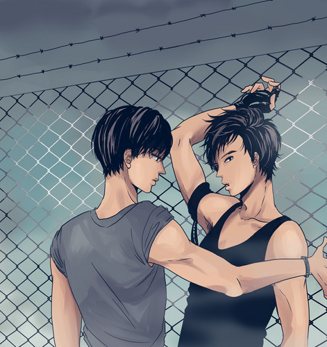  Homin Fence