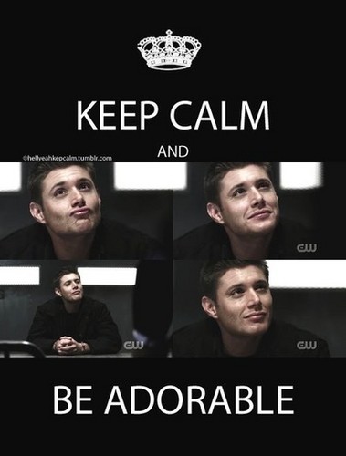  Keep Calm And Be Adorable