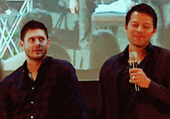  Misha recasting Dean - Jensen's reactions