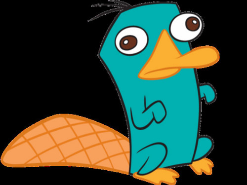  Perry ~